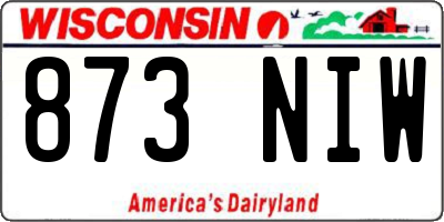 WI license plate 873NIW