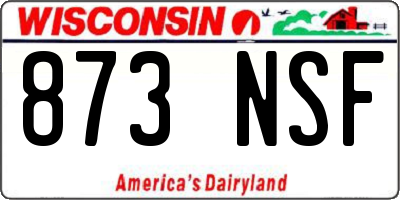 WI license plate 873NSF