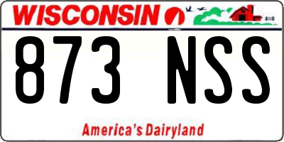 WI license plate 873NSS