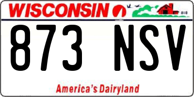 WI license plate 873NSV