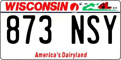 WI license plate 873NSY