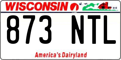 WI license plate 873NTL