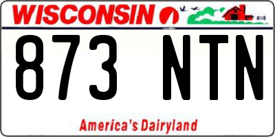 WI license plate 873NTN