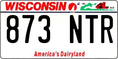 WI license plate 873NTR