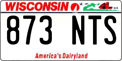 WI license plate 873NTS