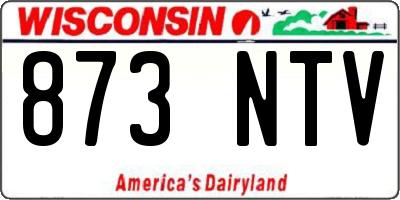 WI license plate 873NTV