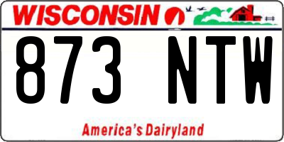 WI license plate 873NTW