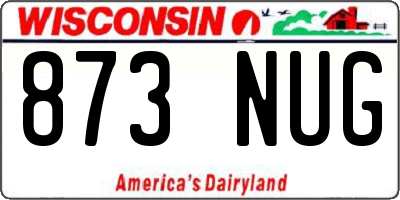 WI license plate 873NUG