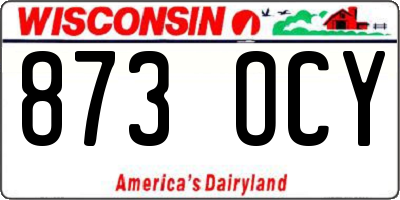 WI license plate 873OCY