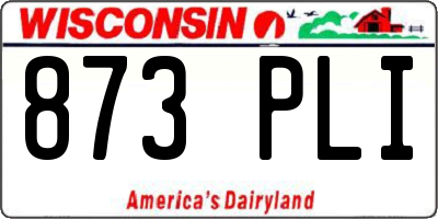 WI license plate 873PLI