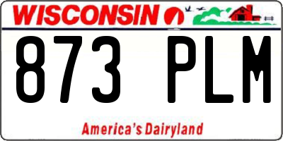 WI license plate 873PLM