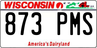 WI license plate 873PMS