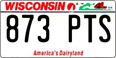WI license plate 873PTS