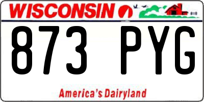 WI license plate 873PYG