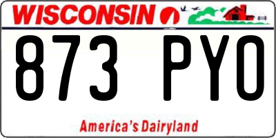 WI license plate 873PYO
