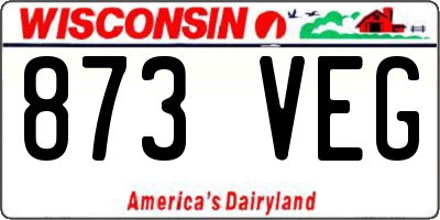 WI license plate 873VEG