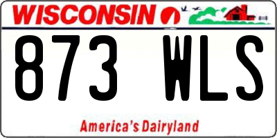 WI license plate 873WLS