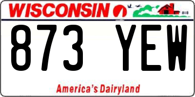 WI license plate 873YEW