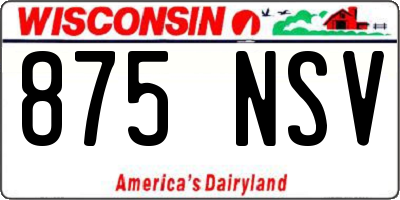 WI license plate 875NSV