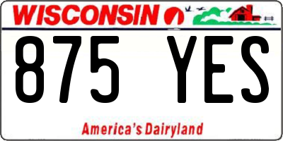 WI license plate 875YES