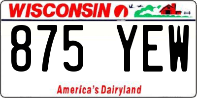 WI license plate 875YEW
