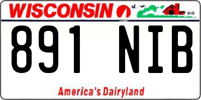 WI license plate 891NIB