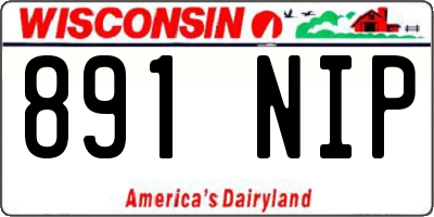 WI license plate 891NIP