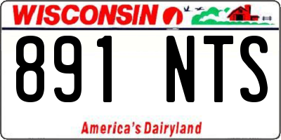 WI license plate 891NTS