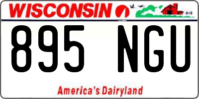 WI license plate 895NGU
