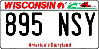 WI license plate 895NSY