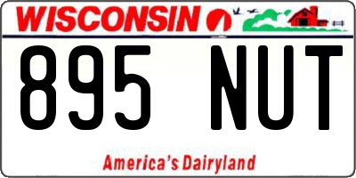 WI license plate 895NUT