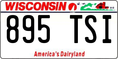 WI license plate 895TSI