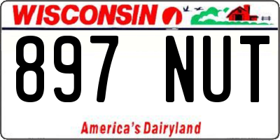 WI license plate 897NUT