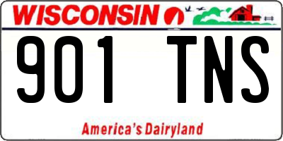 WI license plate 901TNS