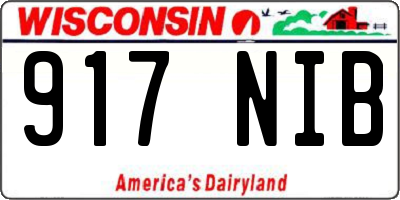 WI license plate 917NIB