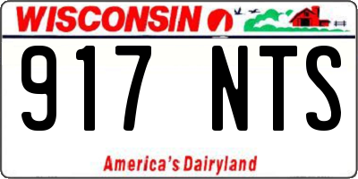 WI license plate 917NTS