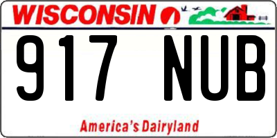 WI license plate 917NUB