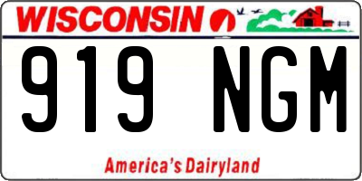 WI license plate 919NGM