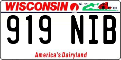 WI license plate 919NIB