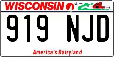 WI license plate 919NJD