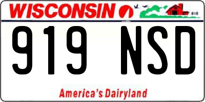 WI license plate 919NSD