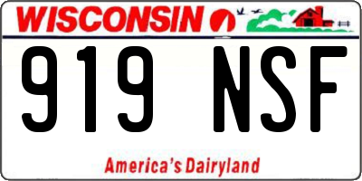 WI license plate 919NSF