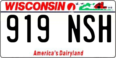 WI license plate 919NSH