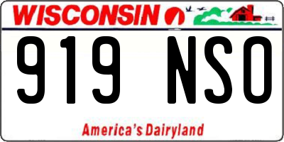 WI license plate 919NSO