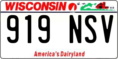 WI license plate 919NSV