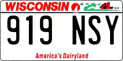 WI license plate 919NSY