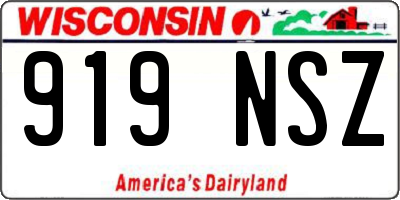 WI license plate 919NSZ
