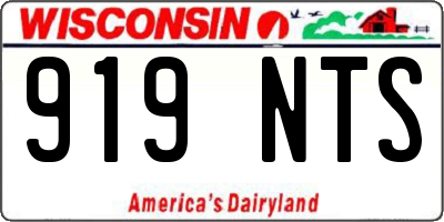 WI license plate 919NTS