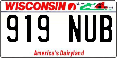WI license plate 919NUB