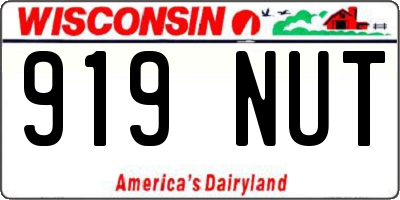 WI license plate 919NUT